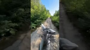 нашид