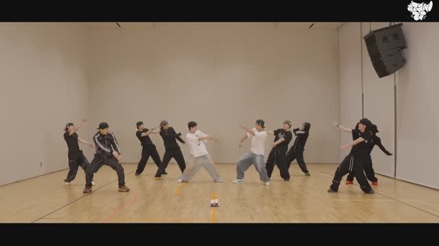 S.COUPS X MINGYU (SEVENTEEN) - Worth It Dance Practice MIRRORED смотреть онлайн
