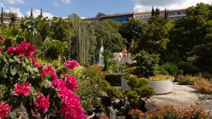 Ужин в санатории «Одиссея» Лазаревское Сочи