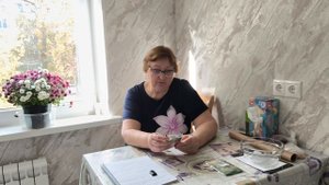 Перец Колобок, кто выращивал.