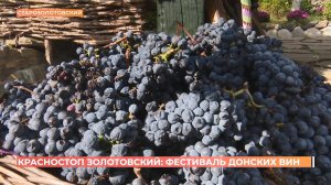Фестиваль донских вин прошел в хуторе Старозолотовском