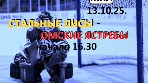 Хоккей. МХЛ. Стальные Лисы - Омские Ястребы. 13.10.25.