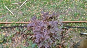 Ура поставили окна