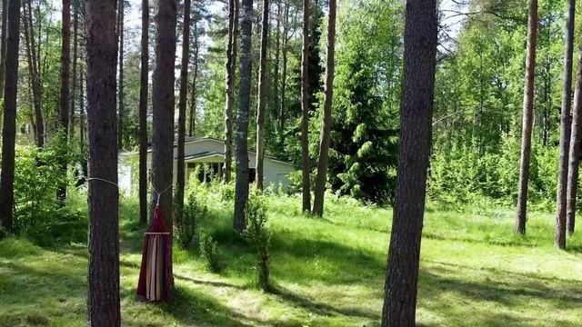 2025-06-14 КП Линтулово, земельный участок_fin