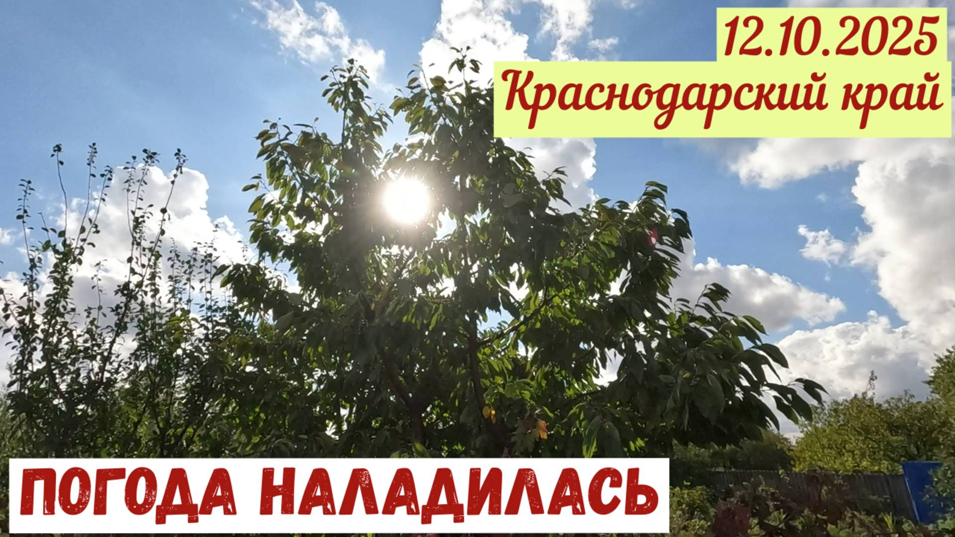 Погода наладилась. Но ненадолго(12.10.2025)