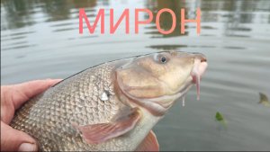 и ТАК БЫВАЕТ II, снял пирсинг с МИРОНА, 11.10.25.