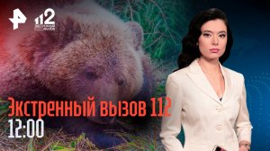 Сердобольные прикармливают медведей / Семья нашла вторую жену у погибшего на СВО / Экстренный вызов