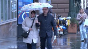 В Московском регионе почти всю неделю прогнозируются осадки в виде дождя и мокрого снега
