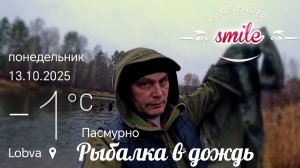 Щука на живца в дождь.