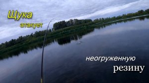 Щука атакует неогруженную резину на каждом забросе