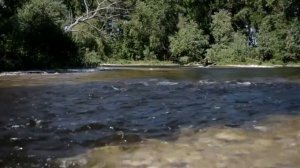 мантра в исполнении Хамса