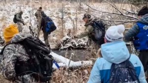 Поиски пропавшей семьи Усольцевых в лесу в Красноярске прекращены