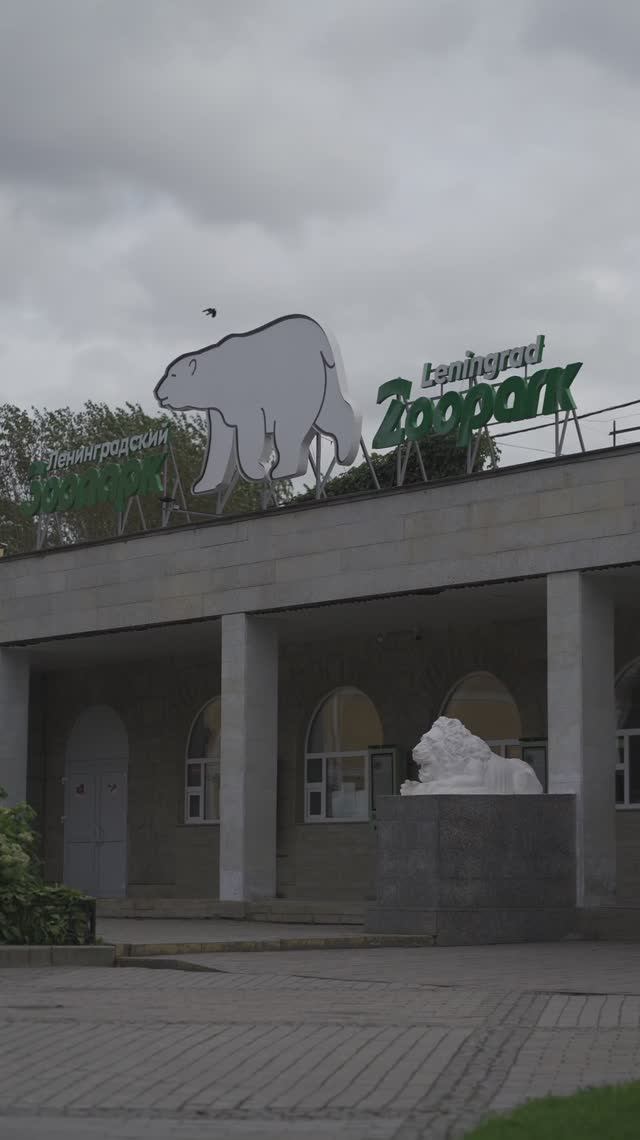 ТАУРАС-ФЕНИКС опекает кенгуру Беннета - Милашку в Ленинградском зоопарке смотреть онлайн