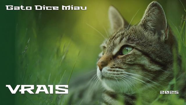 VRAIS - Gato Dice Miau