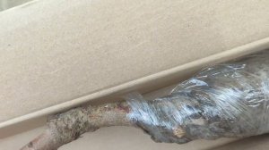 САЖСАЖЕНЦЫ ОТ " КРЫМСКИЙ ПИТОМНИК РАСТЕНИЙ."