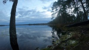 Кузнецовское озеро. Ленинградсккая область (10.10.2025г.)