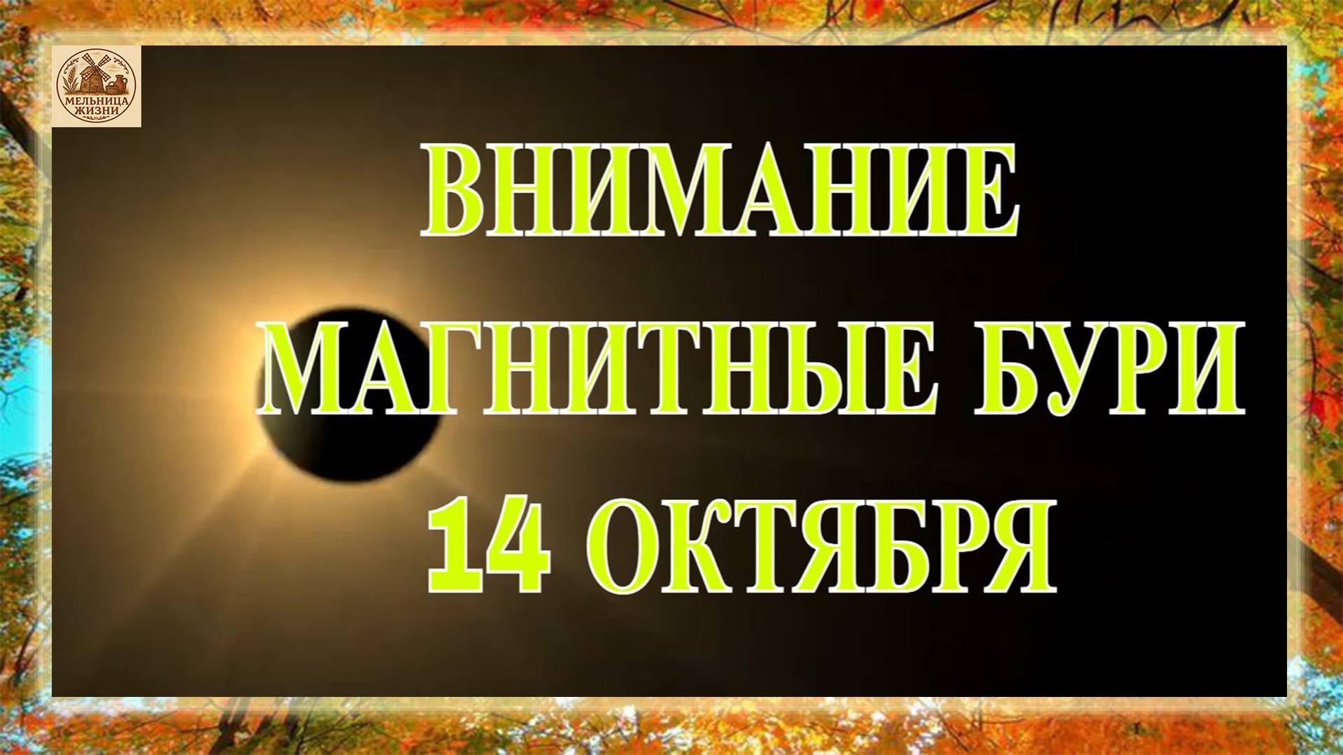 ВНИМАНИЕ. МАГНИТНЫЕ БУРИ 14 ОКТЯБРЯ 2025!
