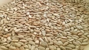 Печенье с семечками