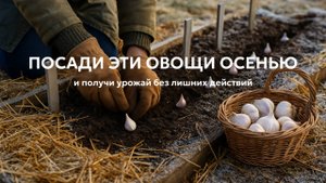 5 простых овощей, которые можно посадить осенью и забыть на всю зиму 🥔