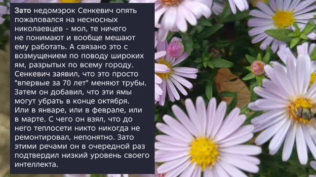Николаев 13 октября 2025 года (новости)