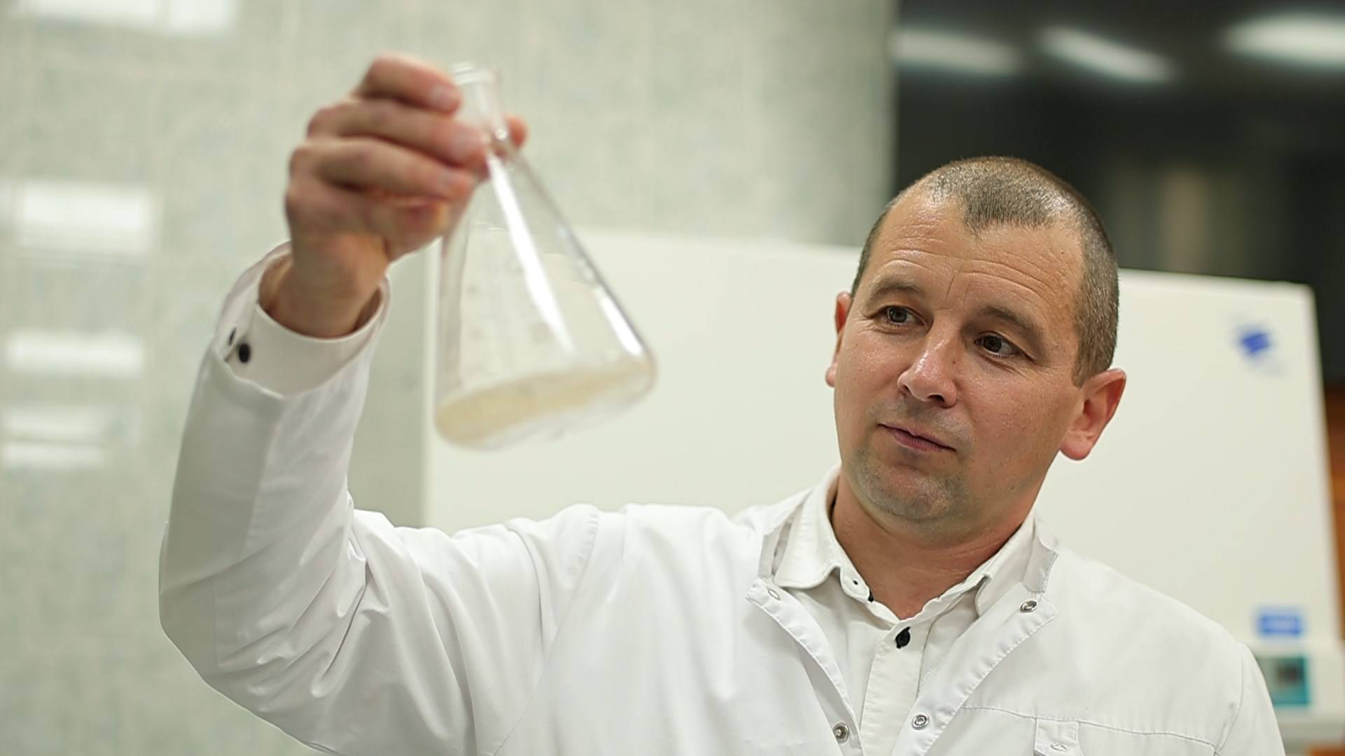 Учёные НИУ «БелГУ» создают идеальную таблетку, исследуя системы доставки лекарственных средств