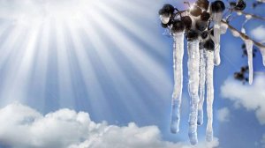 Хороводные песни