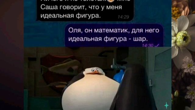 Анекдоты, приколы, юмор, статусы 😂
