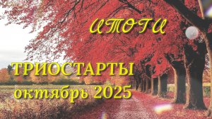 Итоги в СП. Что-то продвинула, а что-то довязала. Котошарф и шапка, плюшевые маленькие человечки.