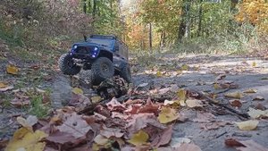 Небольшой выезд в осеннем Саратовском лесу на RGT EX86100 #rc #rccar #crawler #4x4rc #scale #rclife