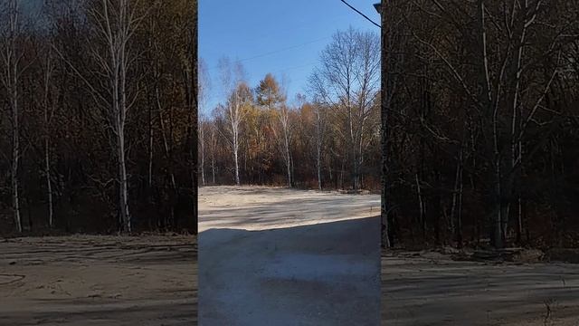 Краткий обзор Загородной недвижимости Благовещенска