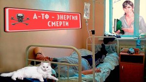 Владимир Пятибрат. АТФ - Это Энергия Смерти!?