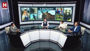 Перезагрузка биолога Вероники Матюшиной | КАРТ-БЛАНШ