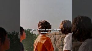 Камень желаний 2009