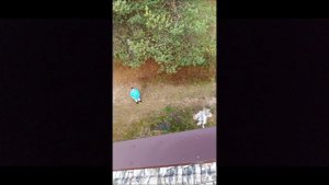 Крыша сделана. Я на крыше. СПАСИТЕ!!! Снимите.