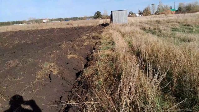 Высаживаю саженцы клубники на новом участке в открытый грунт без плёнки