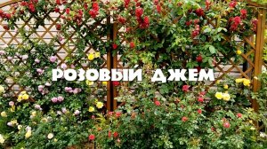 Розовый джем