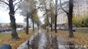 Профессор объяснил, почему ангарский маньяк насиловал и убивал девушек, но считал святой жену