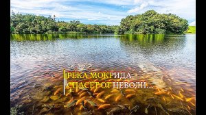 РЕКА МОКРИДА СПАСЁТ ОТ НЕВОЛИ... ДЛЯ ВСЕХ