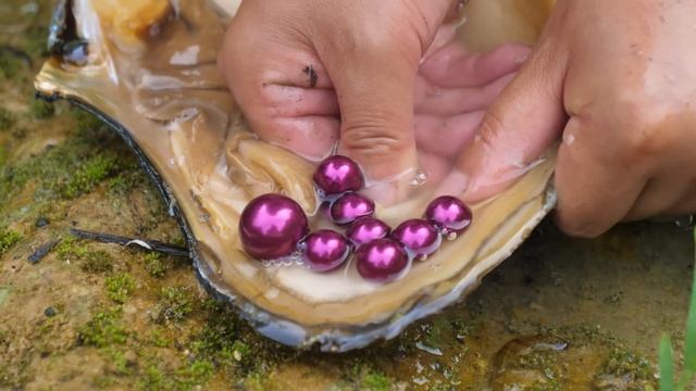 I Awakened The Pearl Clam That Had Been Sleeping For A Hundred Years, And It Brough