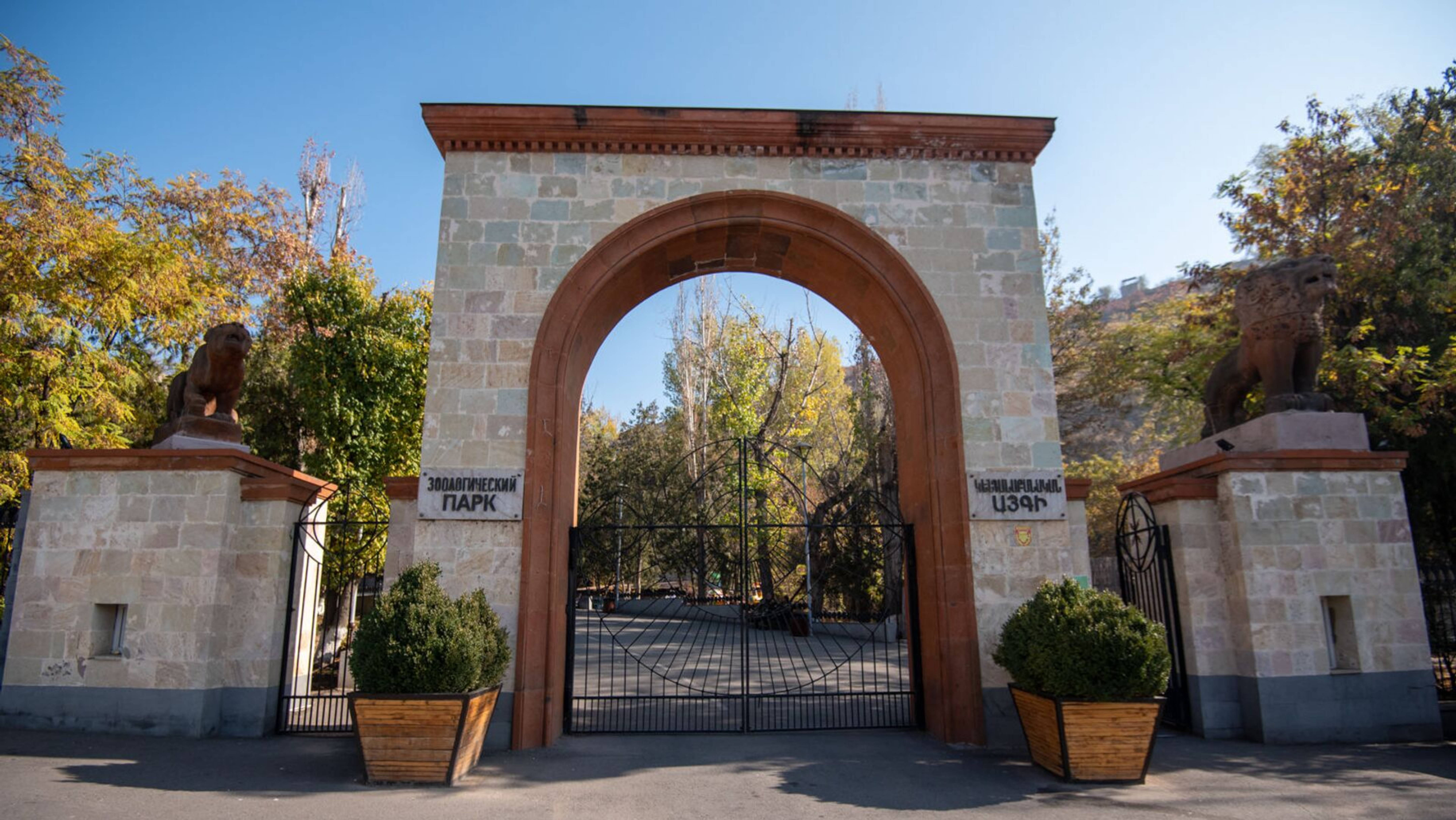 Ереванский зоологический парк.  Երևանի կենդանաբանական այգի 2025 4K