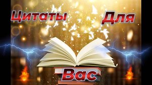 Цитаты, которые бьют точно в цель.