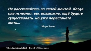 The Ambientalist - Field Of Dreams