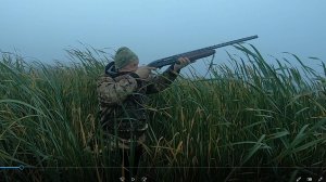 Охота на утку, открытие 2025