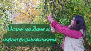 Осень на даче: как я ищу новые источники дохода (и вдохновения)