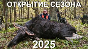 Охота НА ЛОСЯ. Открытие 2025
