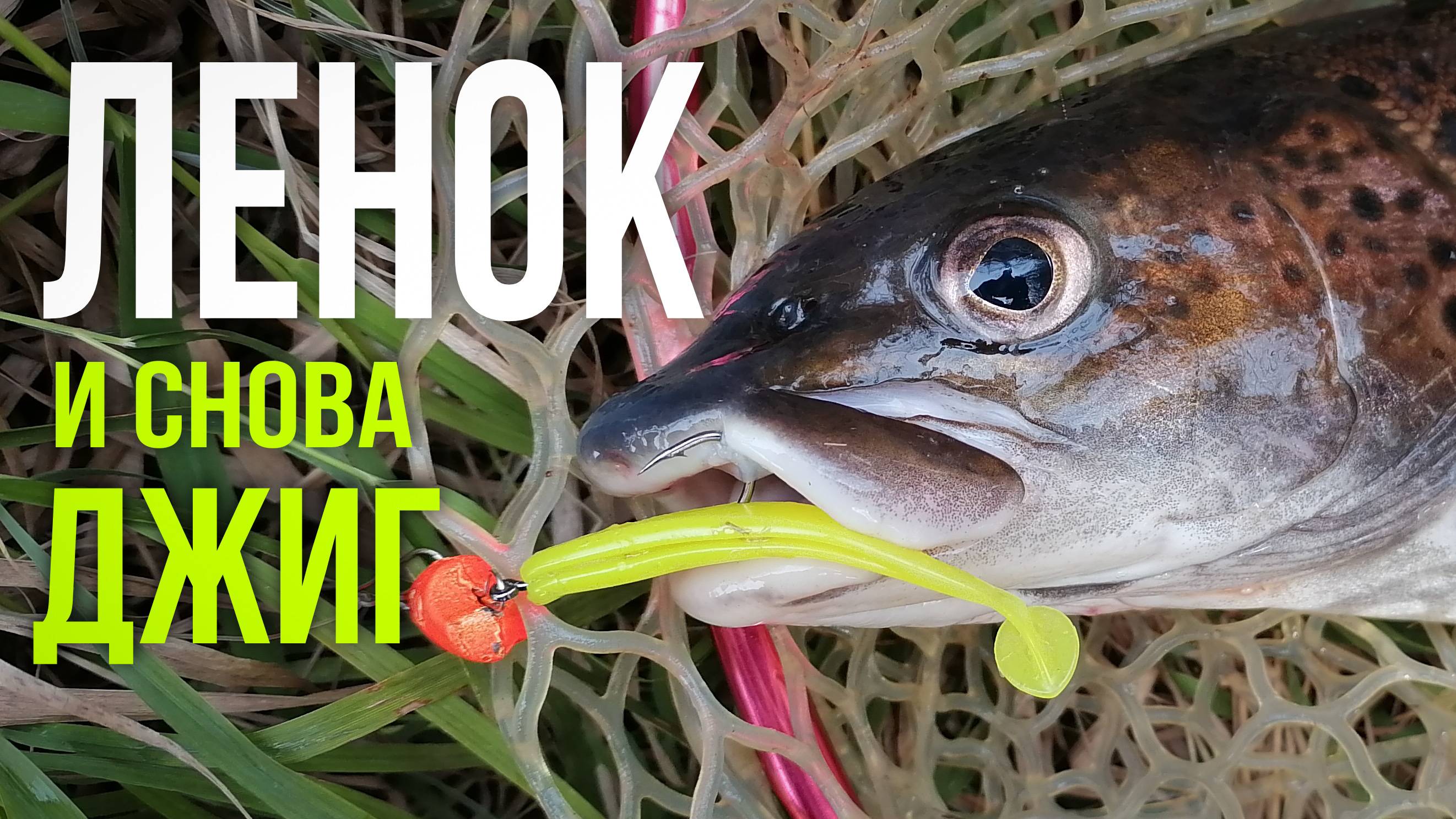 ЛЕНОК на ДЖИГ | Рыбалка на таёжной реке