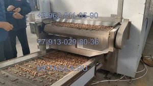 Машина для сушки какао бобов с загрузочным конвейером и охлаждающей лентой