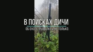 В поисках дичи.