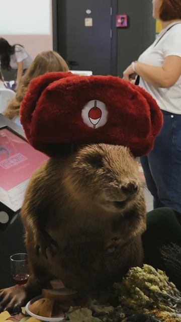 День муниципальных образований смотреть онлайн