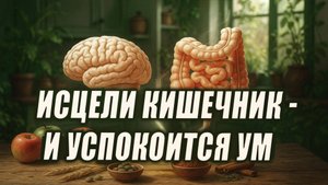 Микробиом и ось кишечник-мозг: как наладить пищеварение